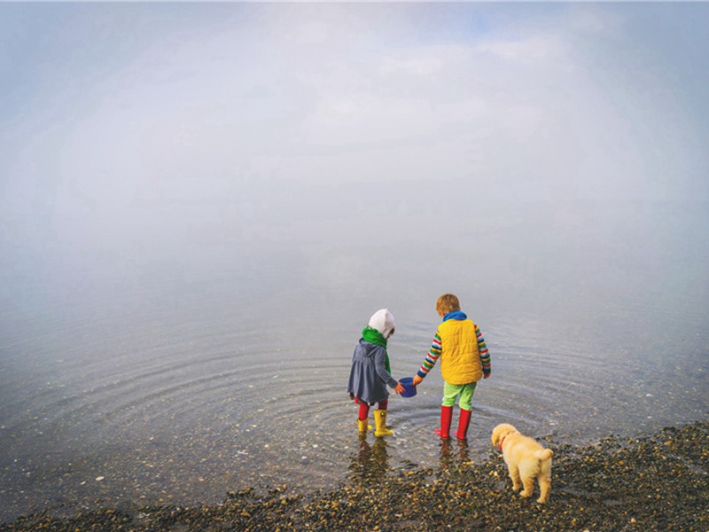 辞旧迎新造句,用辞旧迎新怎么造句子(132句)