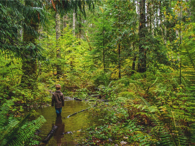 踏进造句,用踏进怎么造句子(173句)