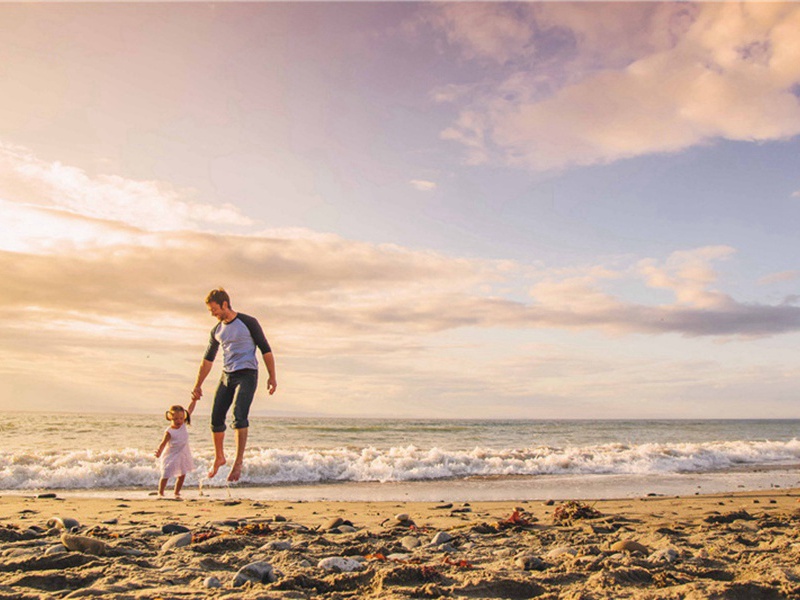 宣告造句,用宣告怎么造句子(180句)