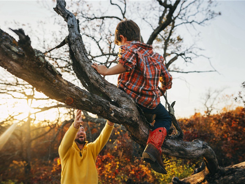 伸缩性造句,用伸缩性怎么造句子(38句)