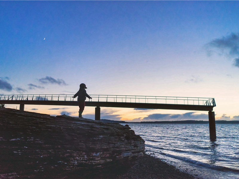 稠密造句,用稠密怎么造句子(138句)