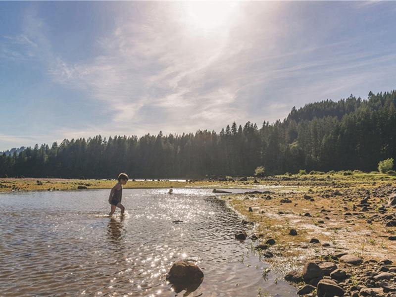 卑劣手段造句,用卑劣手段怎么造句子(21句)