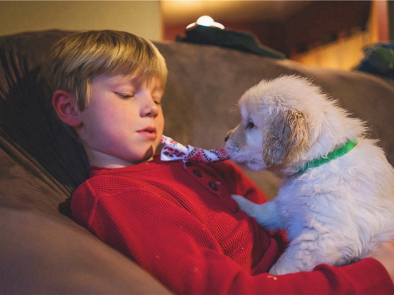 立新造句,用立新怎么造句子(178句)