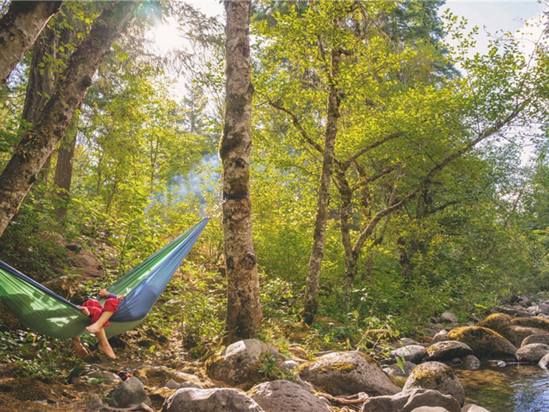 花容造句,用花容怎么造句子(143句)