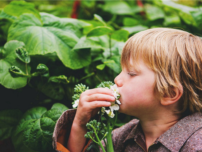 西秦造句,用西秦怎么造句子(31句)