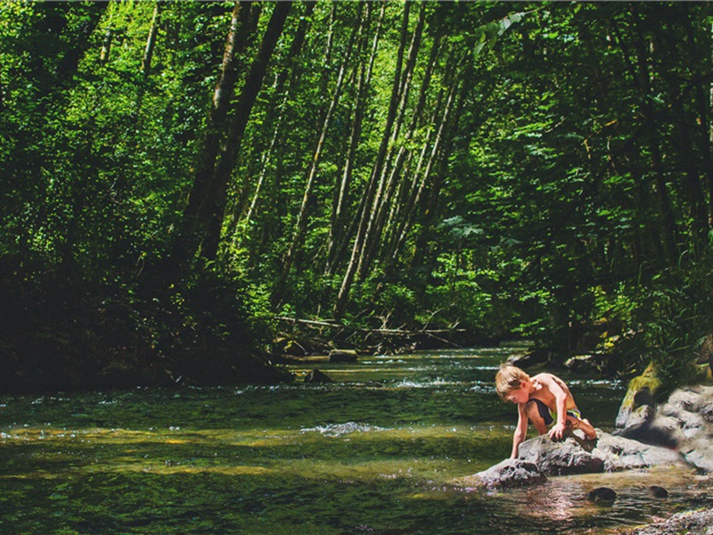 秀峰造句,用秀峰怎么造句子(35句)