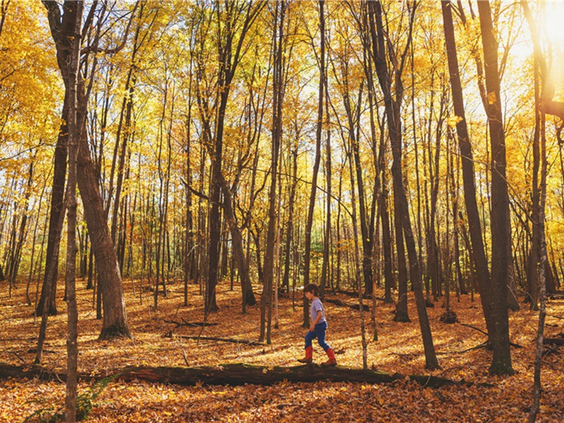 一盏造句,一盏怎么造句子(174句)