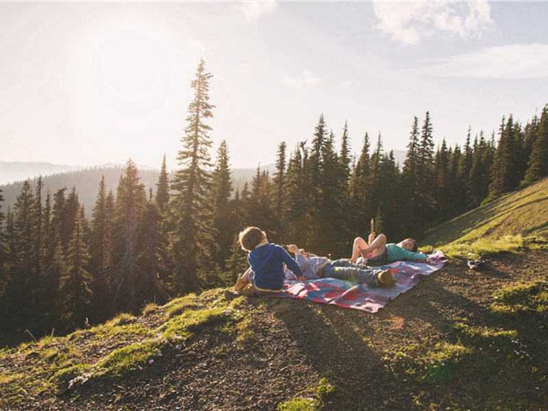 一句话造句,一句话怎么造句子(180句)