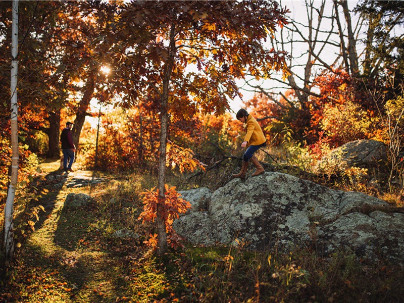 南村造句,用南村怎么造句子(72句)