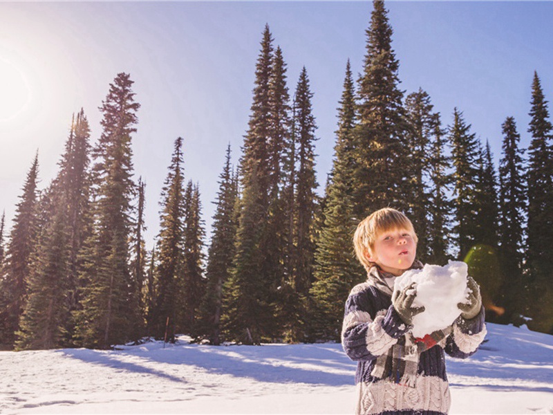 不义之财造句,用不义之财怎么造句子(47句)