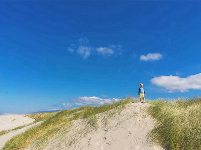 不谋其政造句,用不谋其政怎么造句子(24句)