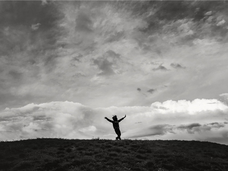 篱笆造句,篱笆怎么造句子(179句)