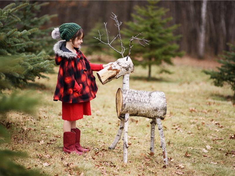 收留造句,用收留怎么造句子(149句)