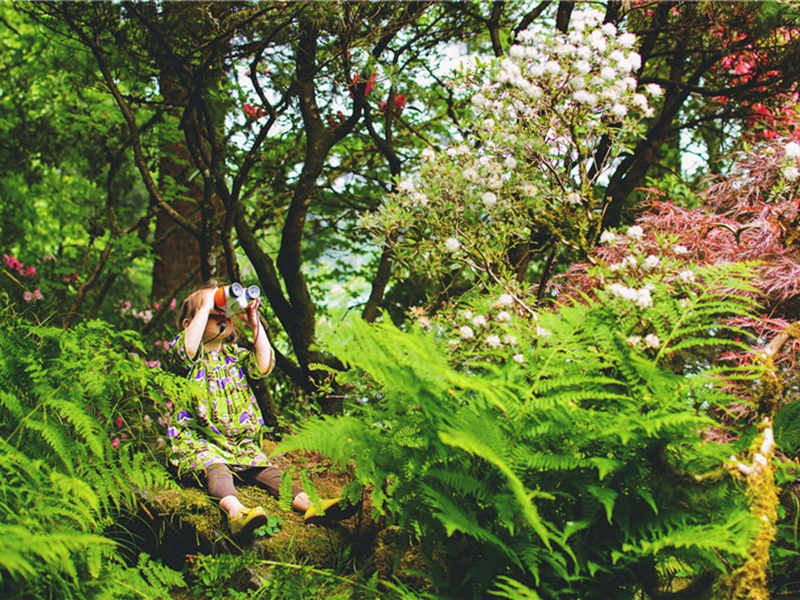 竞赛造句,用竞赛怎么造句子(160句)