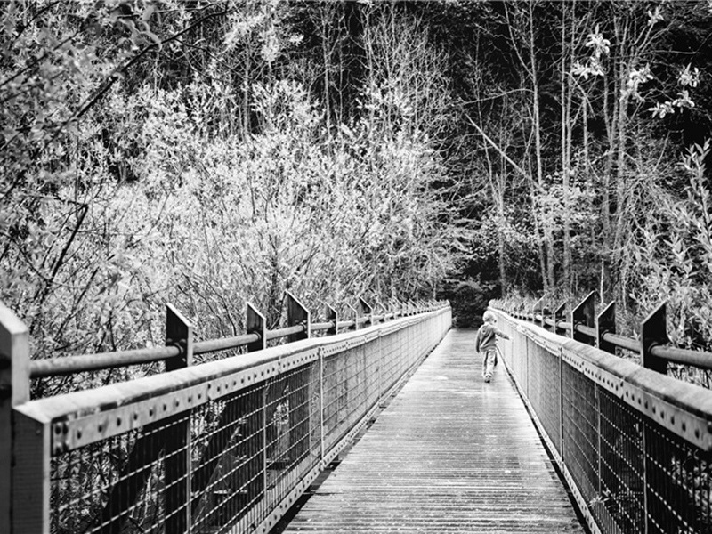 大驾造句,用大驾怎么造句子(76句)