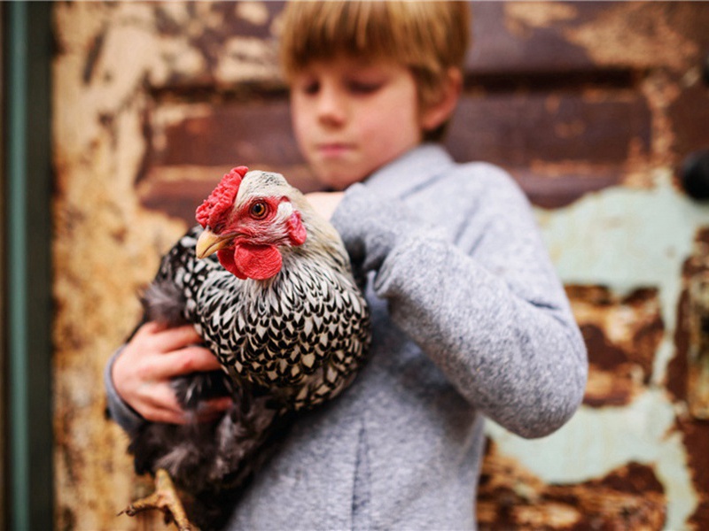 六日造句,用六日怎么造句子(160句)