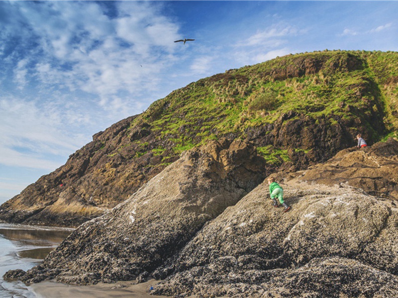奄奄一息造句,用奄奄一息怎么造句子(127句)