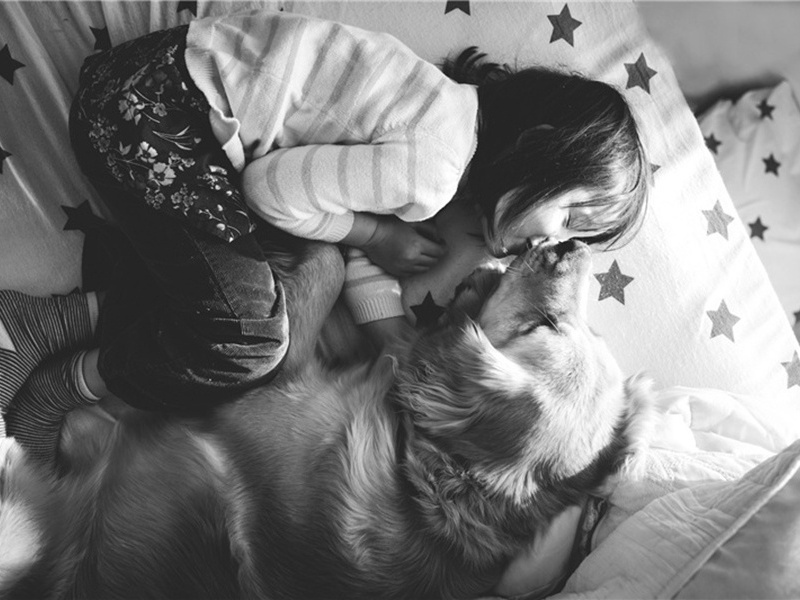 快感造句,快感怎么造句子(172句)