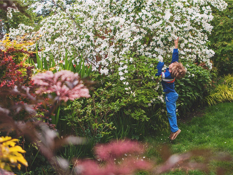 拾遗造句,用拾遗怎么造句子(124句)