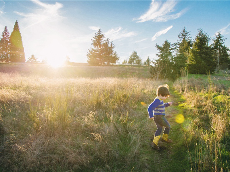 院落造句,用院落怎么造句子(179句)