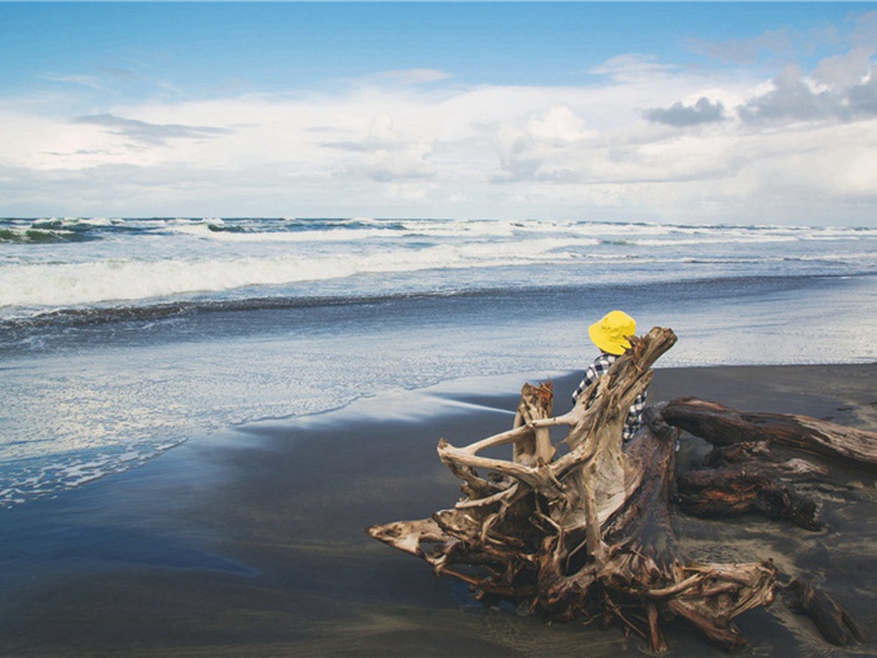 弱不禁风造句,弱不禁风怎么造句子(74句)