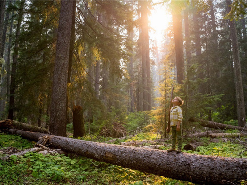 自外造句,用自外怎么造句子(76句)
