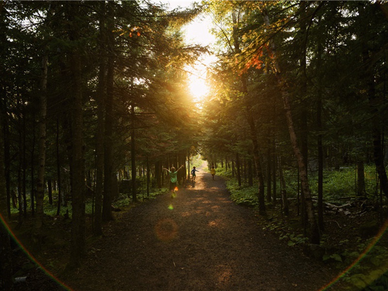 金银财宝造句,用金银财宝怎么造句子(108句)