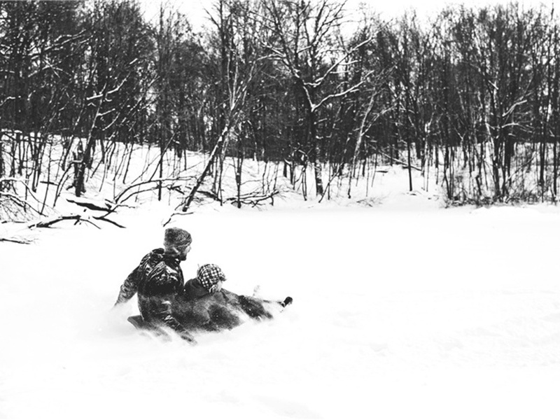 山核桃造句,用山核桃怎么造句子(53句)