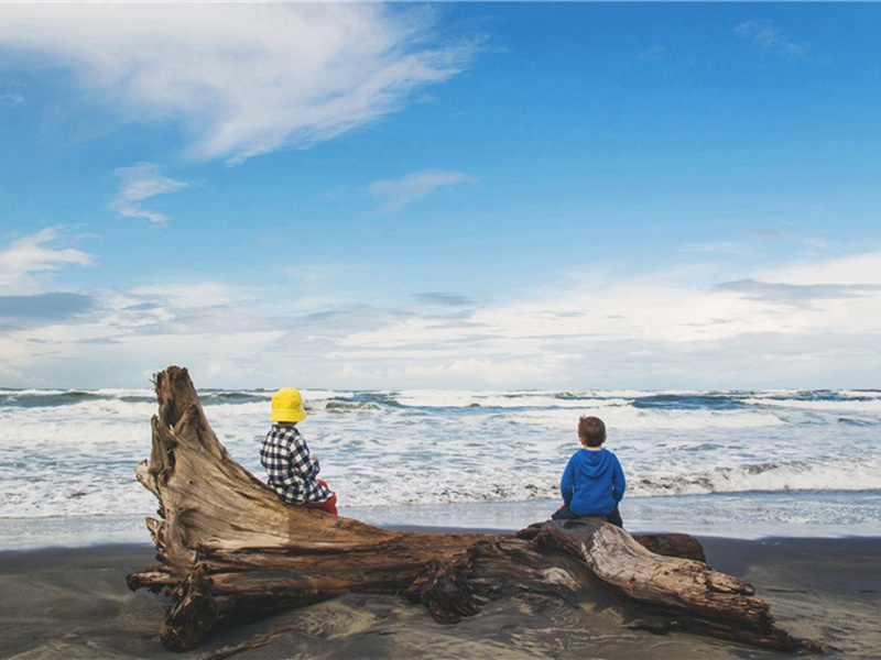 搬迁造句,搬迁怎么造句子(179句)