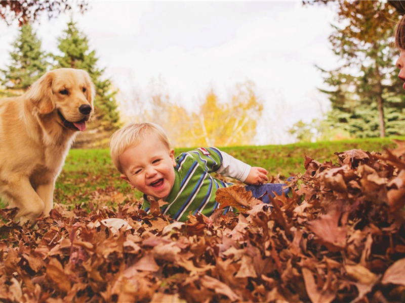 遇上造句,用遇上怎么造句子(180句)