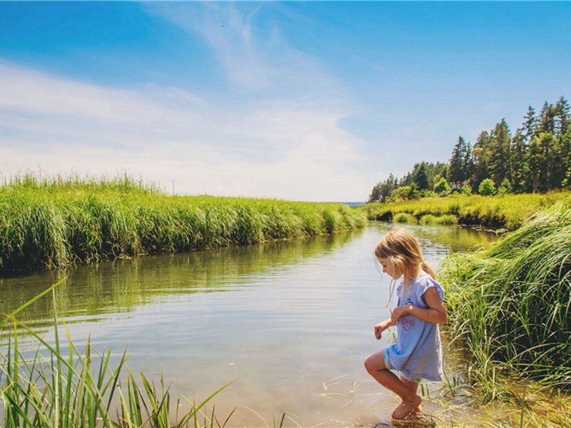 五大造句,用五大怎么造句子(180句)