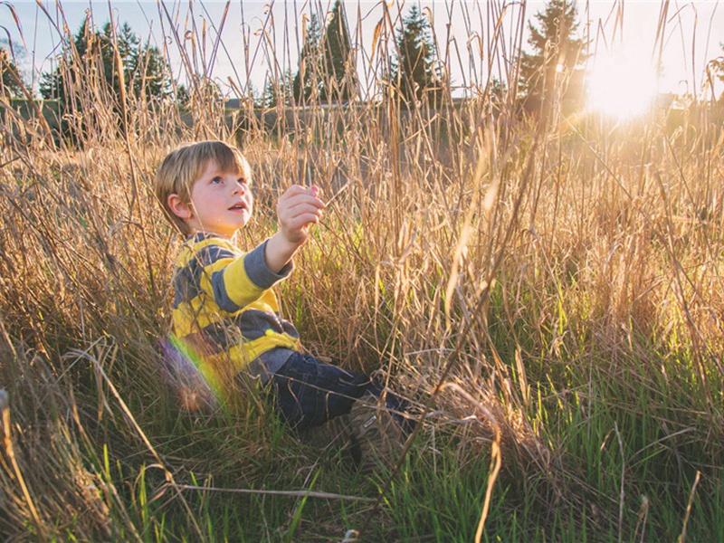 万宝路造句,用万宝路怎么造句子(22句)