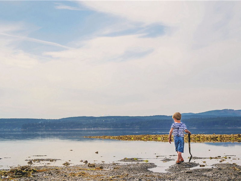 寂静无声造句,用寂静无声怎么造句子(45句)