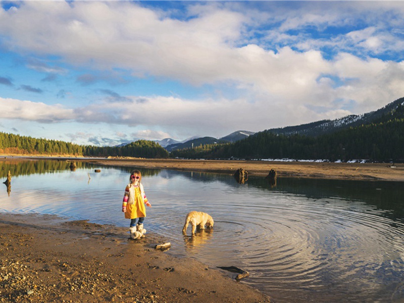 弄鬼造句,用弄鬼怎么造句子(80句)