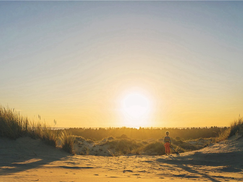 曾是造句,曾是怎么造句子(180句)