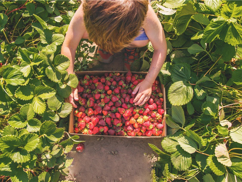 沙砾造句,沙砾怎么造句子(60句)
