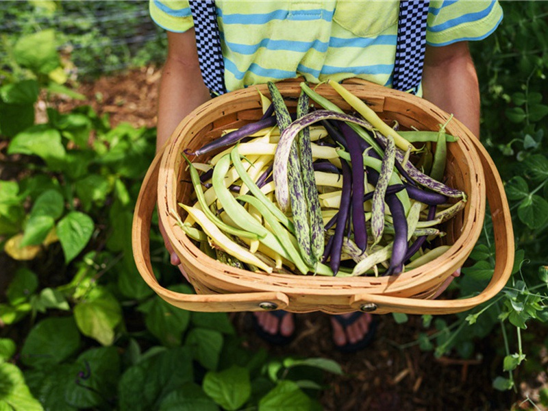 才貌出众造句,用才貌出众怎么造句子(22句)