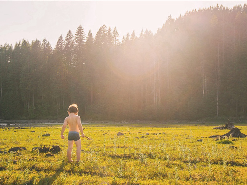 老奸造句,用老奸怎么造句子(56句)