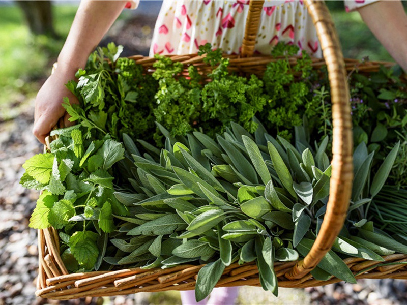 人民公园造句,用人民公园怎么造句子(32句)