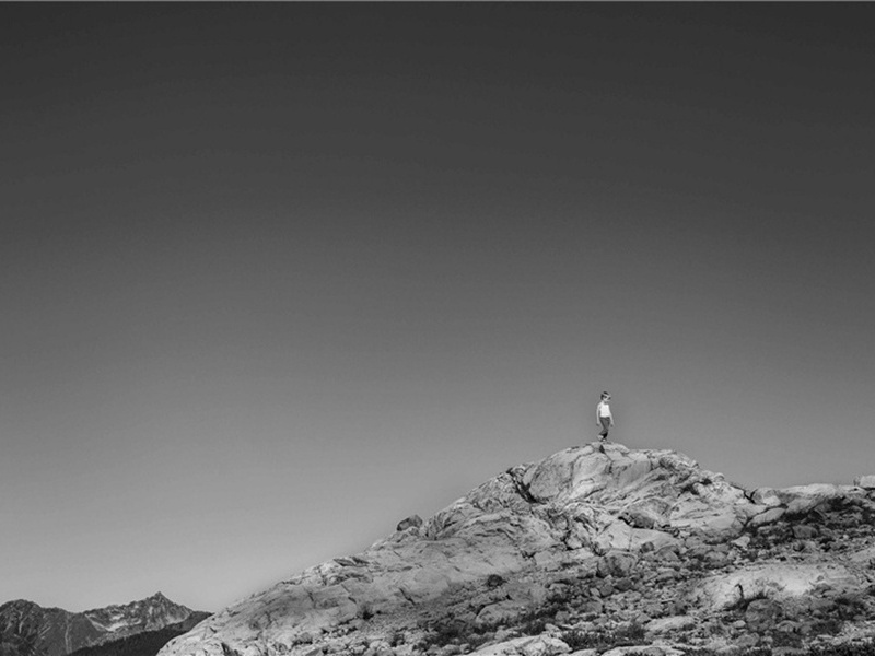 它又造句,用它又怎么造句子(180句)