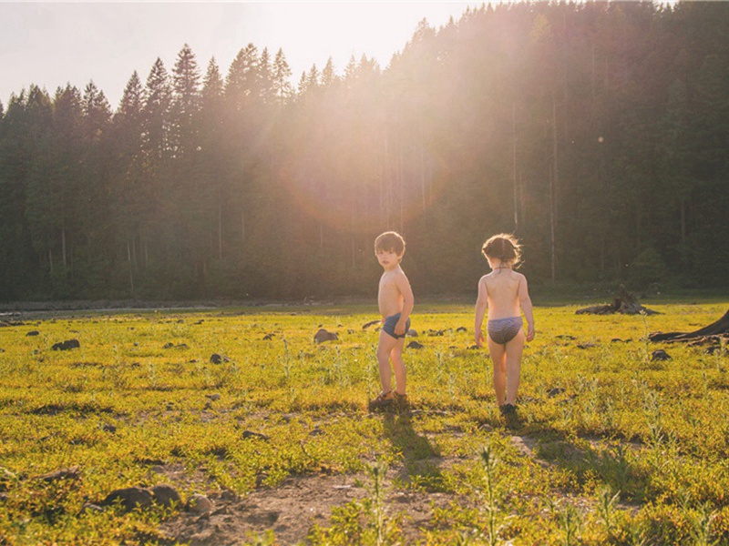 猛兽造句,猛兽怎么造句子(157句)