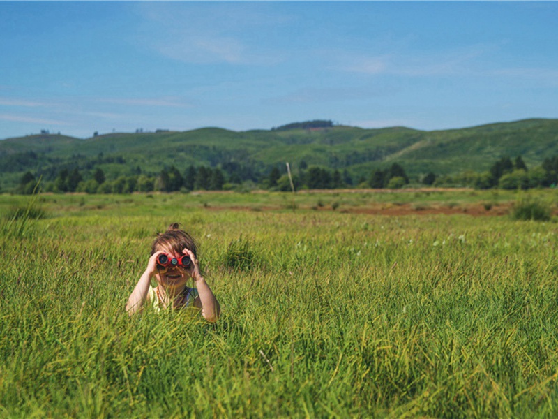 背过造句,用背过怎么造句子(71句)
