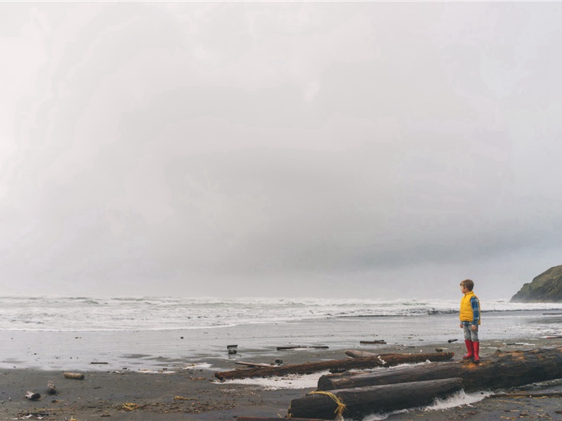 粗饲料造句,用粗饲料怎么造句子(26句)