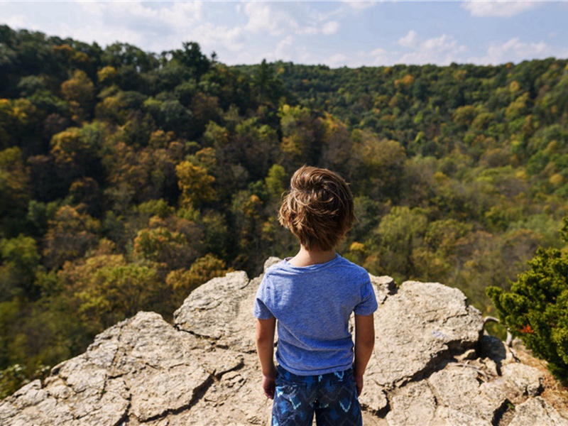 该书造句,用该书怎么造句子(180句)