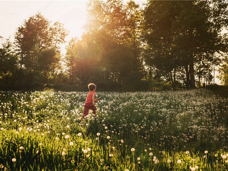 旁门造句,用旁门怎么造句子(78句)