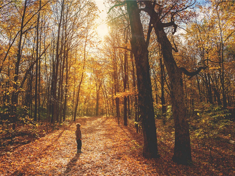 师表造句,师表怎么造句子(180句)