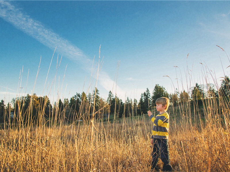 话匣造句,用话匣怎么造句子(38句)
