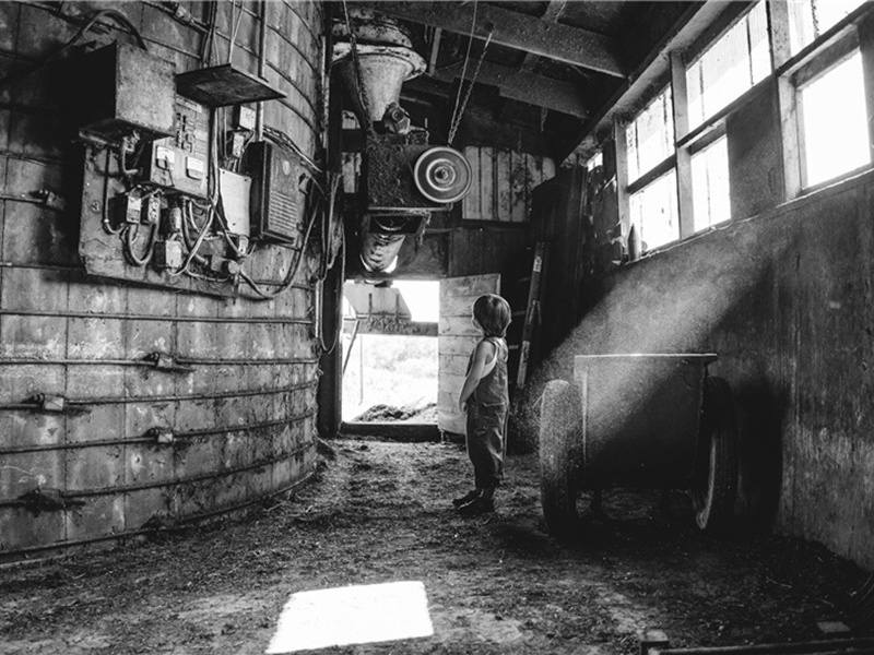 真奇怪造句,用真奇怪怎么造句子(37句)