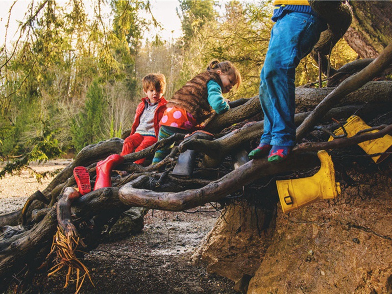 阅兵造句,阅兵怎么造句子(175句)