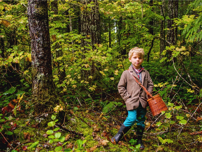 综治办造句,用综治办怎么造句子(20句)